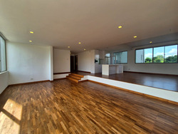 Nassim Regency (D10), Condominium #448825001